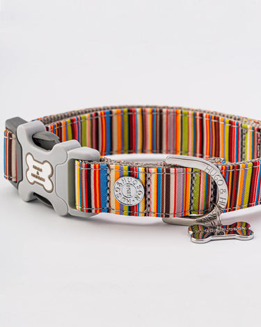 Striped Multi-colour Fabric Dog Collar D Ring