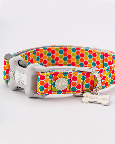 Geometric Multi-colour Fabric Dog Collar D Ring