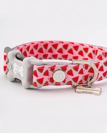 Pink Watermelon Fabric Dog Collar D Ring