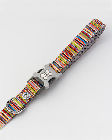 Striped Multi-colour Fabric Dog Lead Clip in Handle