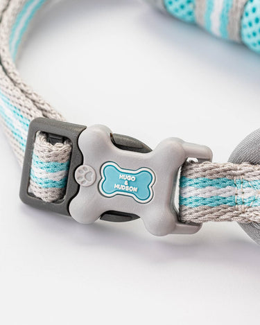 Mesh Dog Harness - Aqua Clip