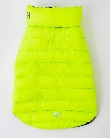 Reversible Dog Puffer Jacket - Green and Navy Lead Hole