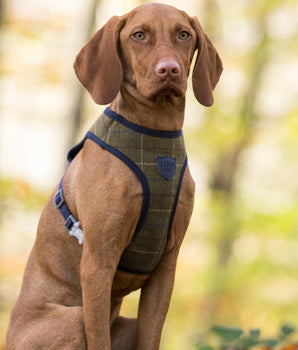 Luxury Tweed Dog Harness Hugo Hudson London