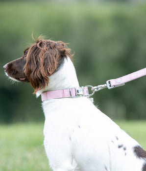Tweed Dog Lead - Pink Checked Lifestyle