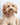 Tweed Metal Buckle Dog Collar - Pink Herringbone Lifestyle