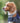 Tweed Metal Buckle Dog Collar - Grey Herringbone Lifestyle