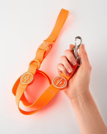 Waterproof Dog Lead Orange