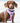 Fabric Dog Harness - Pink Star Lifestyle