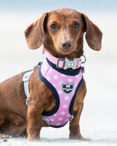 Pink Star Fabric Dog Harness