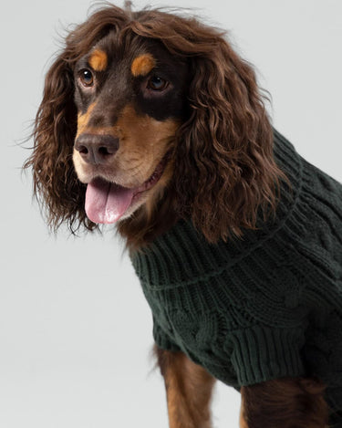 Cable Knit Pullover Dog Jumper - Green Studio Shoot