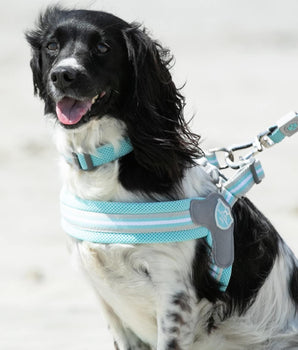 Easy Walk V Dog Harness - Aqua Lifestyle