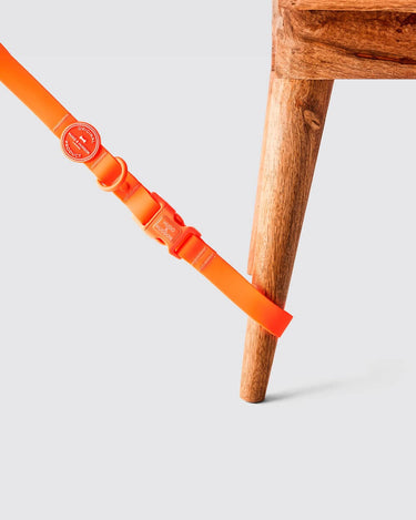 Waterproof Dog Lead - Orange Attached to Chair