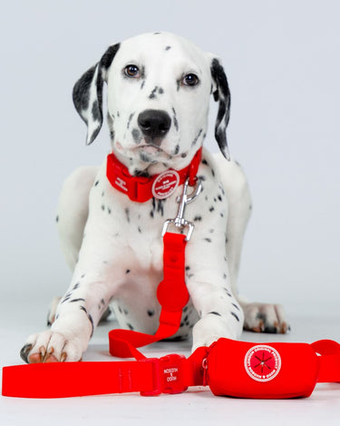 Waste Poop Bag Holder - Red Studio Shoot