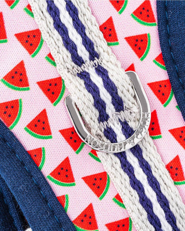 Fabric Dog Harness - Pink Watermelon D Ring