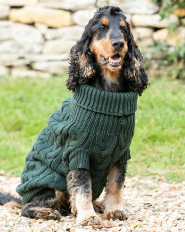 Cable Knit Pullover Dog Jumper - Green Lifestyle