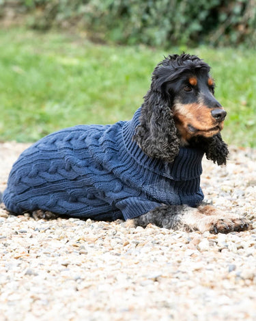 Cable Knit Pullover Dog Jumper - Navy Lifestyle