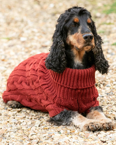 Cable Knit Pullover Dog Jumper - Brick Lifestyle