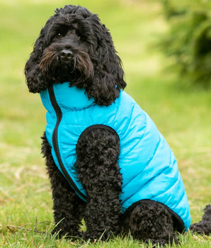 Reversible Dog Puffer Jacket - Light Blue and Grey Lifestyle