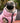  Reversible Dog Puffer Jacket - Light Pink and Grey Lifestyle