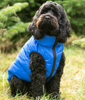 Reversible Dog Puffer Jacket - Blue and Navy Lifestyle