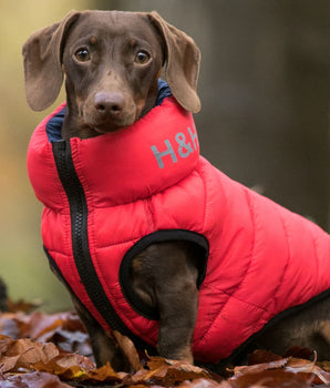 Reversible Dog Puffer Jacket - Red and Navy Lifestyle
