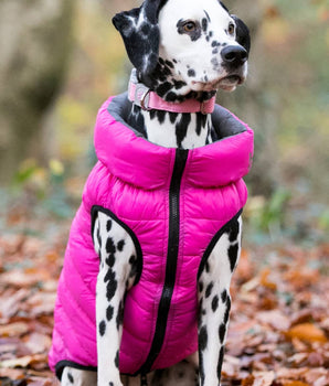 Reversible Dog Puffer Jacket - Pink and Grey Lifestyle