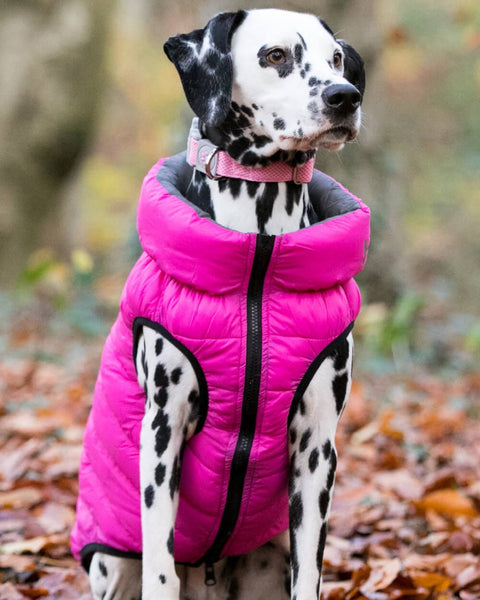 Pink and Grey Dog Puffer Jacket Hugo Hudson London