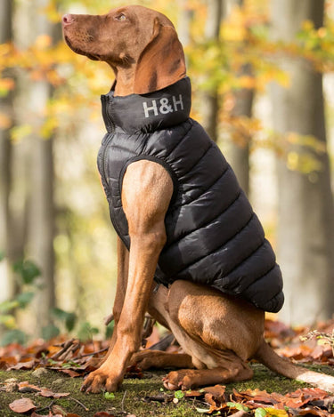 Reversible Dog Puffer Jacket - Black and Grey Lifestyle