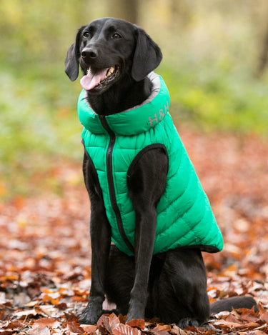 Reversible Dog Puffer Jacket - Dark Green and Grey Lifestyle