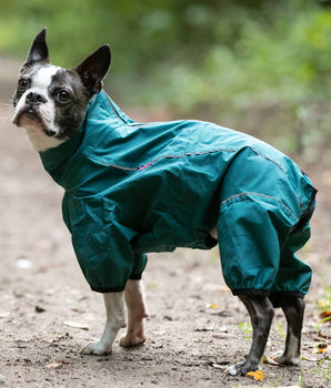 Protective Dog Overalls - Teal Lifestyle