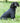 Reflective Hooded Dog Overalls - Black Lifestyle