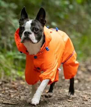 Reflective Hooded Dog Overalls - Neon Orange Lifestyle