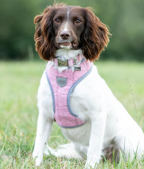 Tweed Dog Harness - Pink Checked Lifestyle