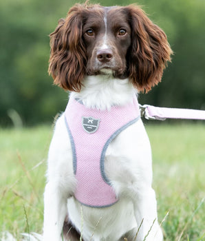 Tweed Dog Harness - Pink Herringbone Lifestyle