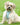 Tweed Dog Harness - Aqua Herringbone Lifestyle