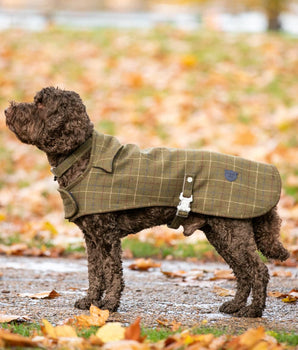 Tweed Fleece Dog Jacket - Dark Green Checked Lifestyle