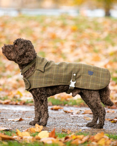 Tweed Fleece Dog Jacket - Dark Green Checked Lifestyle