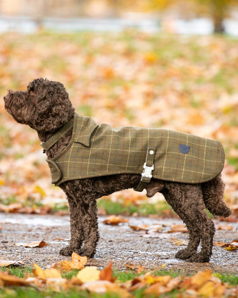 Tweed Fleece Dog Jacket Dark Green Checked