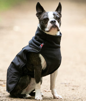 Thermal Self Heating Dog Jacket - Black Lifestyle