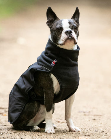 Thermal Self Heating Dog Jacket - Black Lifestyle