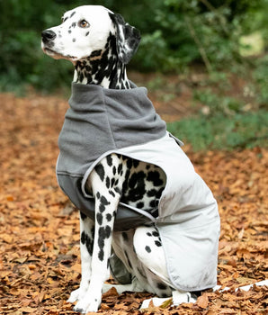 Thermal Self Heating Dog Jacket - Grey Lifestyle