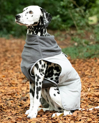 Thermal Self Heating Dog Jacket - Grey Lifestyle