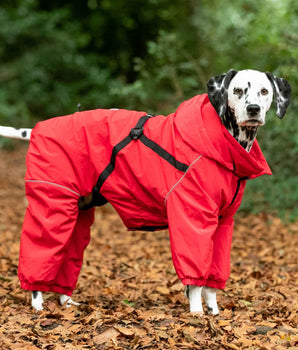 Winter Dog Snowsuit - Red Lifestyle