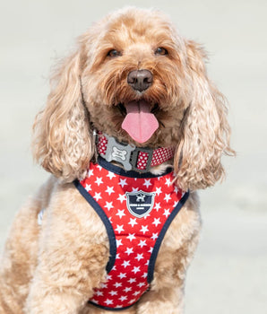 Fabric Dog Harness - Red Star Lifestyle