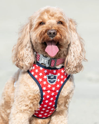 Fabric Dog Harness - Red Star Lifestyle