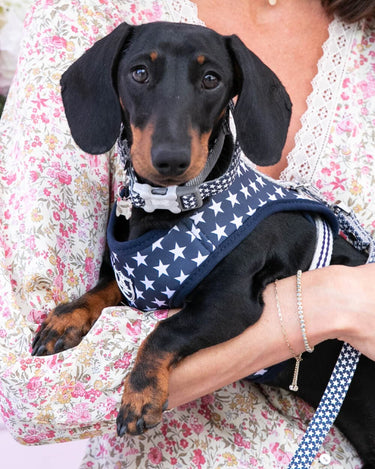 Fabric Dog Harness - Navy Star Lifestyle