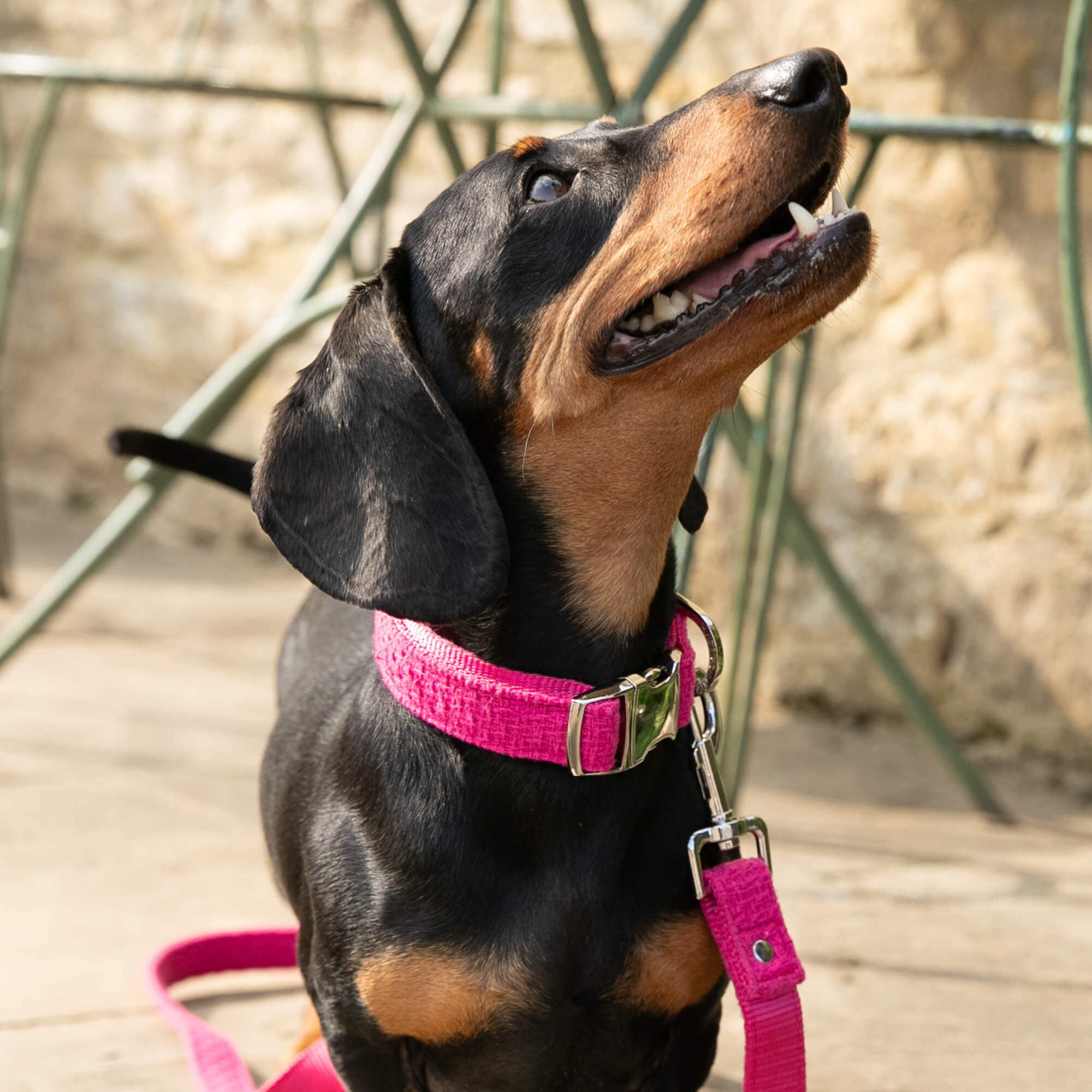 Pink Luxury Tweed Collar