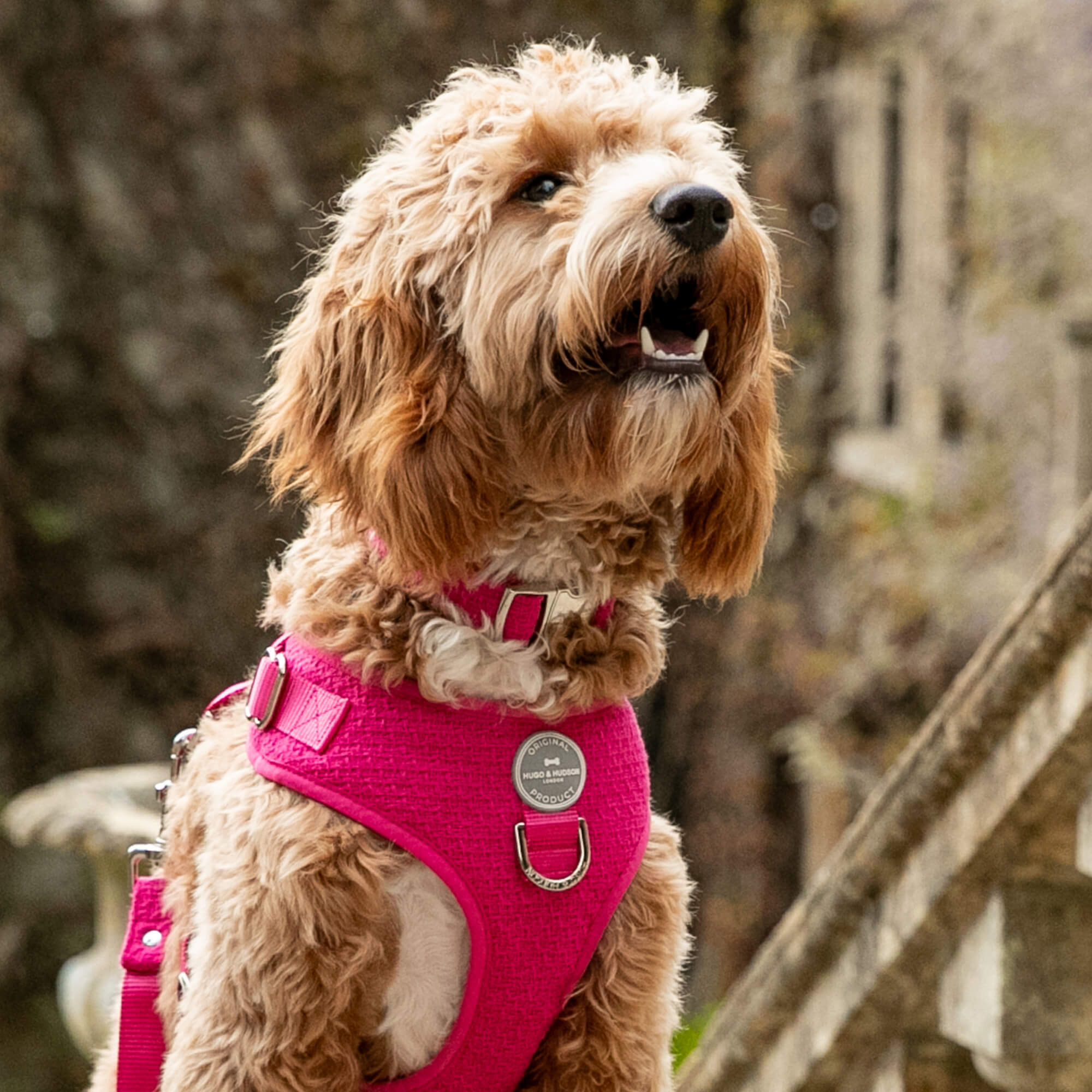 Pink Luxury Tweed Collar