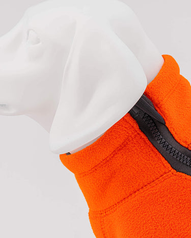 Cosy Warm Fleece Dog Jacket - Orange Collar