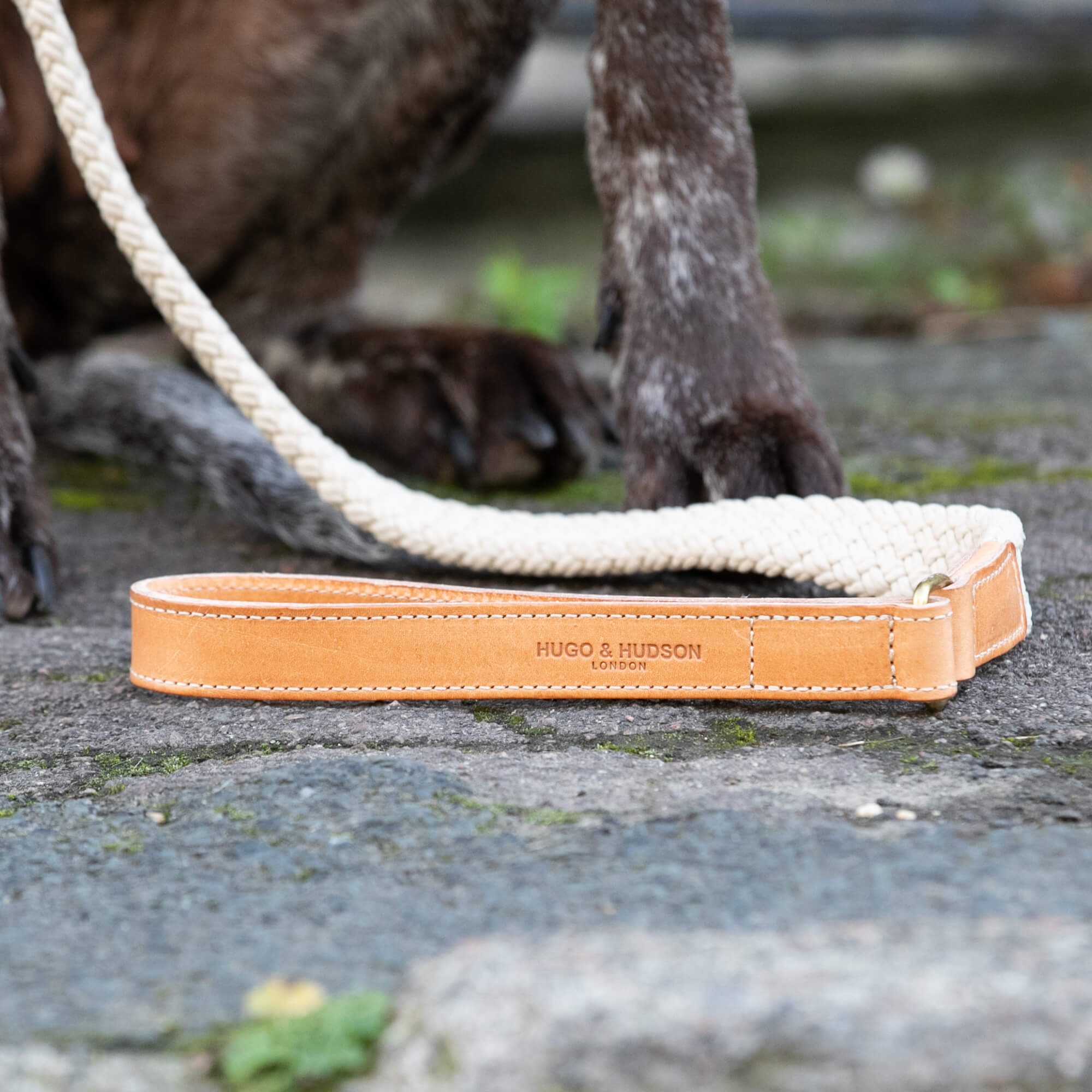 Tan Flat Rope and Leather Dog Lead